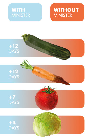 TAM-diagram_01-EN-(1).jpg TAM-diagram_01-EN-(1).jpg
